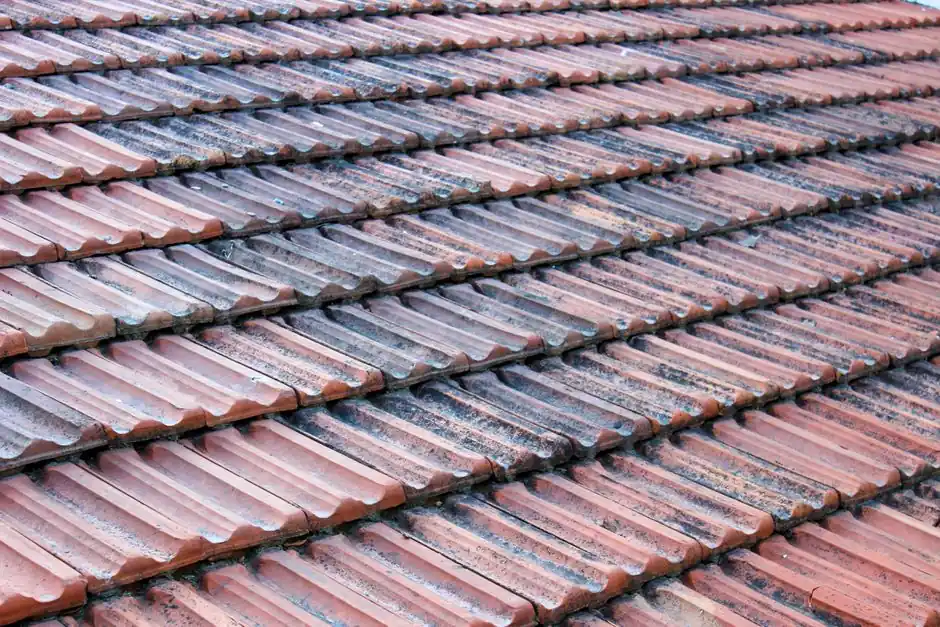 Commercial Roofing