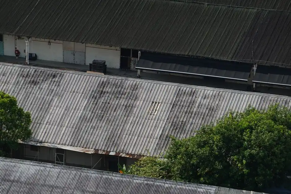 High angle view of urban warehouse roofs with corrugated metal and surrounding green trees.