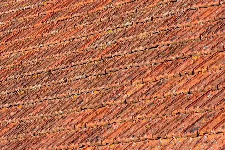 Why Texas homeowners book an inspection